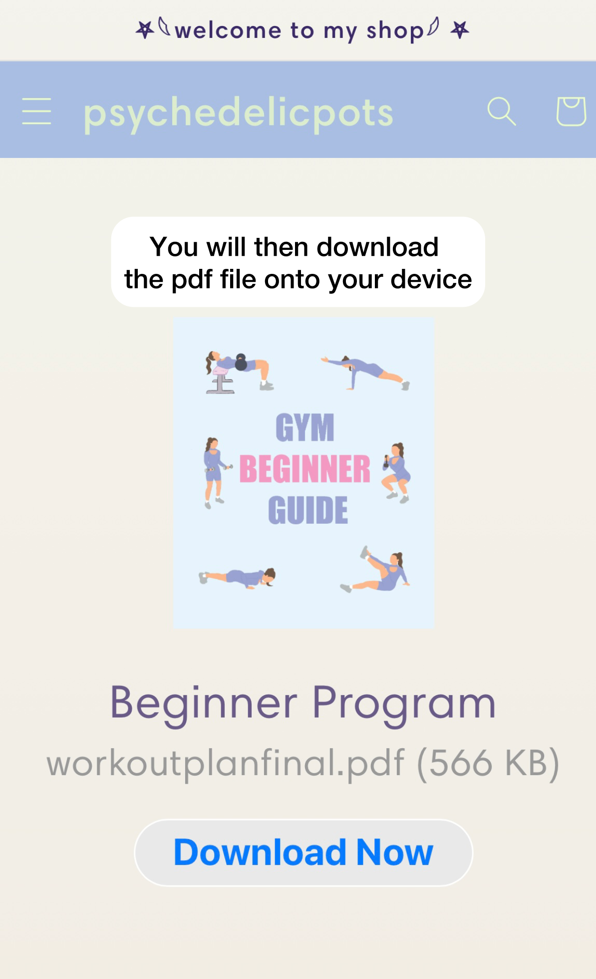 Beginner Program
